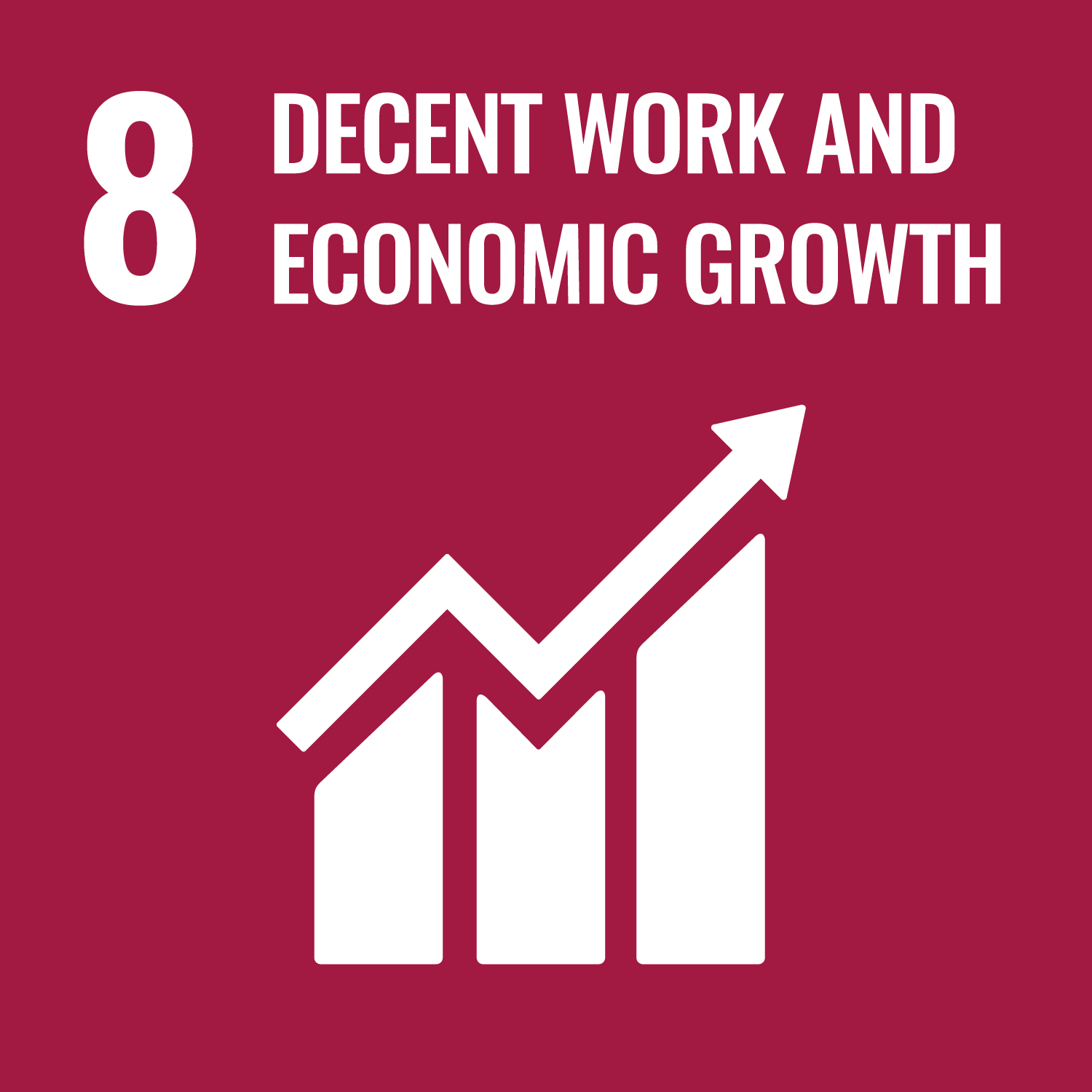 SDG 8